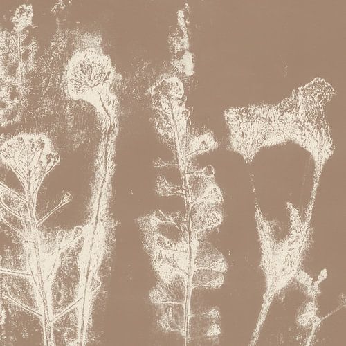 Weide. Japandi botanische kunst in bruin en wit.