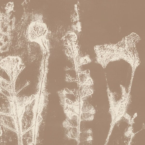 Meadow. Japandi botanical art in brown and white. by Dina Dankers