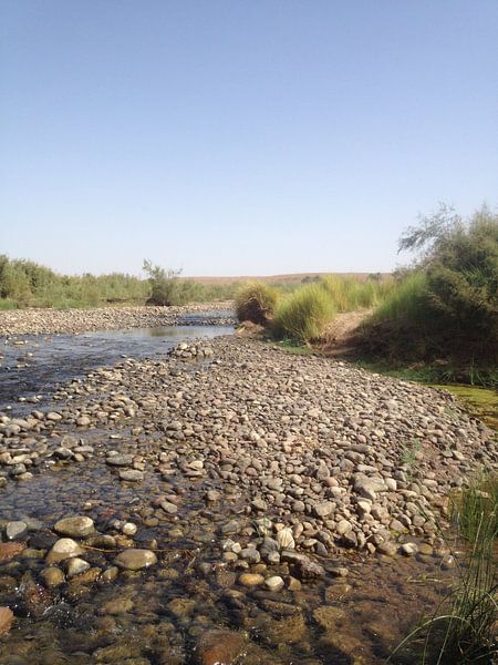 Een oase in Marokko par Tessel Robbertsen