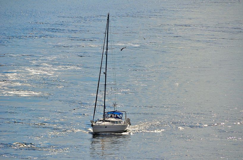 Zeilboot in Zweden van Karel Frielink