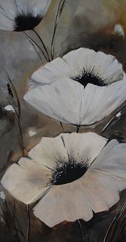 le pavot blanc