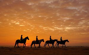 Paarden op het strand von Dirk van Egmond