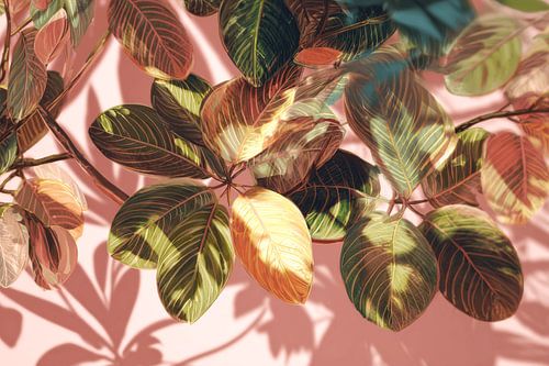 Leaves in Sunlight Tropical Shadows against Soft Pink by Eva Lee