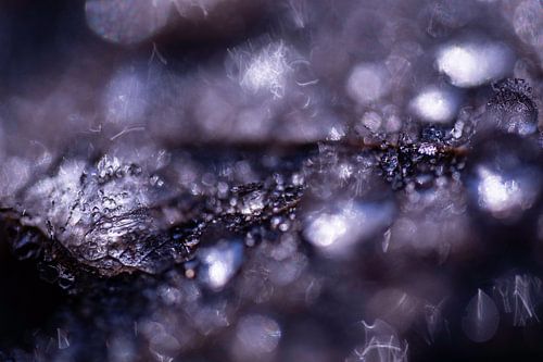 IJs op blaadje | Abstracte Foto | Natuur