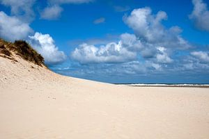Duinen en branding bij de Slufter