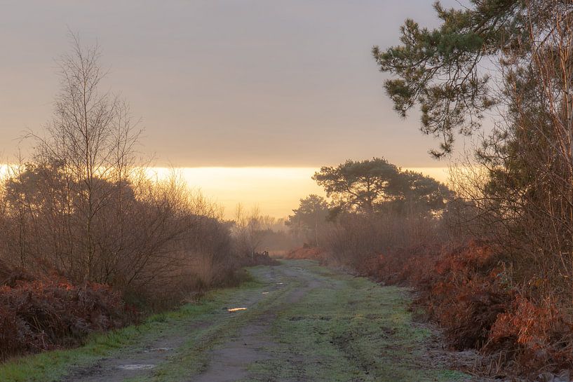 mystical path on the Great Peel by Tania Perneel