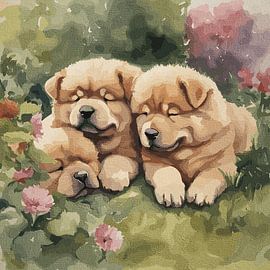 Trio Naptime by Wissam Ramadan