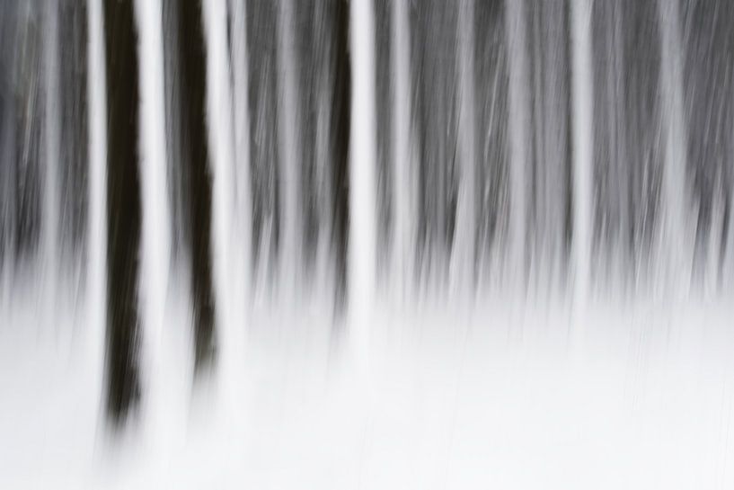 Bos in de sneeuw par Gonnie van de Schans