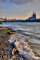 Portrait de la ville de Cologne sur le Rhin avec la nature et les vagues au premier plan