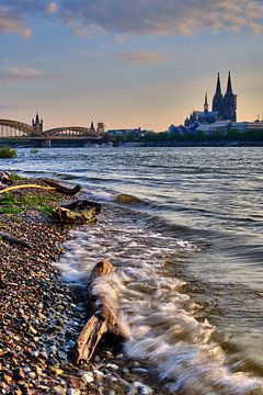 Stadsportret van Keulen aan de Rijn met de natuur en golven op de voorgrond van 77pixels