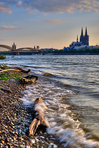 City portrait of Cologne on the Rhine with nature and waves in the foreground