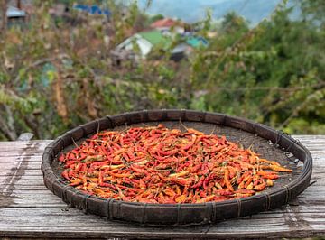 Chilies by Alex Neumayer