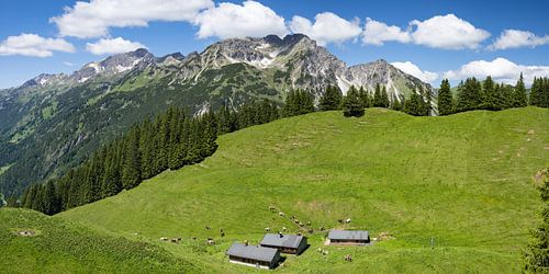 Hintere Einödsberg Alpe am Wildengundkopf, dahinter die Schafalpenköpfe, Allgäuer Alpen, Allgäu, Bayern, Deutschland
