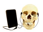 Menselijke schedel luistert muziek met oordopjes op een iPod van Ben Schonewille thumbnail