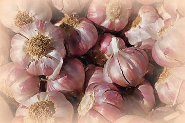 Knoblauch ART 2.0