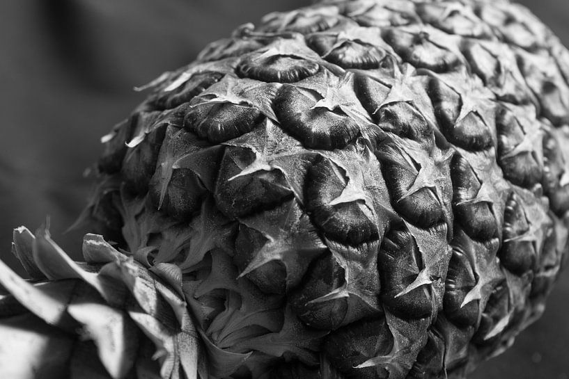 Artful pineapple by Charlotte Serrarens