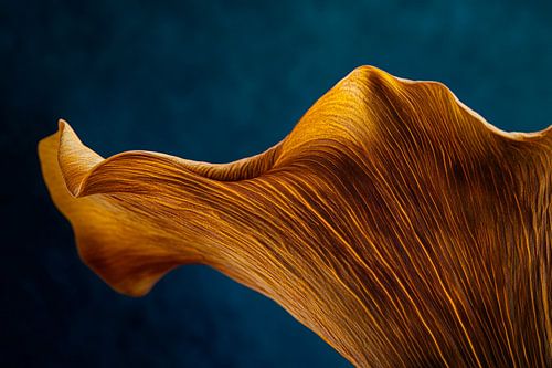Gouden bloem beweging