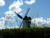 Molen
