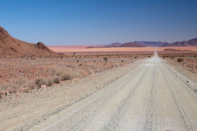 Namibia Wüste(2) von Tineke Koen