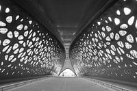Park bridge Antwerp in black and white