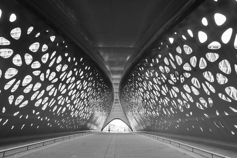 Park bridge Antwerp in black and white by Nancy Lamers