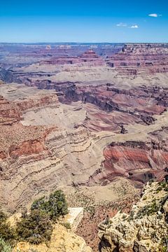 GRAND CANYON Impression from Moran Point by Melanie Viola
