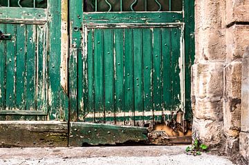 Oude vervallen deur met afgebladderde verf van MICHEL WETTSTEIN