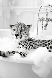 Gelassener Gepard in der Badewanne - Ein lustiges Badezimmer Bild für Ihr WC von Poster Art Shop