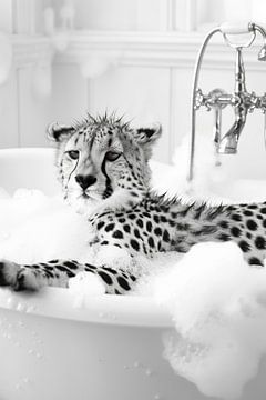 Guépard serein dans la baignoire - Une image de salle de bain amusante pour vos toilettes sur Felix Brönnimann