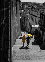 Black, White & Yellow