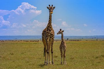 Giraffe moeder met kind van Peter Michel