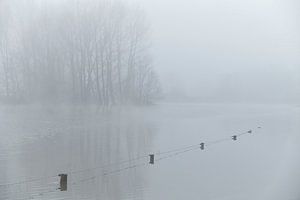 Nebel und Flut in den Überschwemmungsgebieten