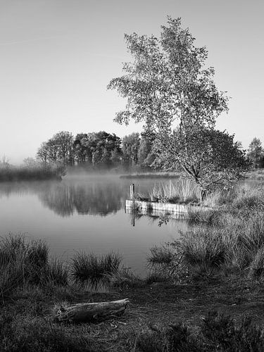 Smitsveen in Black and White, Dwingelderveld, Drenthe by Henk Meijer Photography