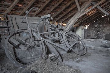 Alte Fahrräder auf baufälligem Dachboden von Sasja van der Grinten