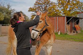 Preparation of the horse before training