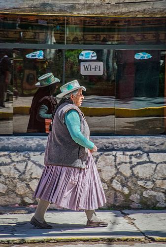 Peruvian woman for an internet cafe