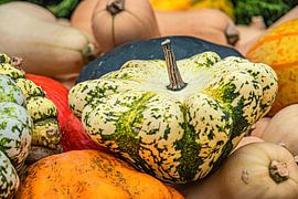 Kürbisvielfalt von Photoart-Naegele