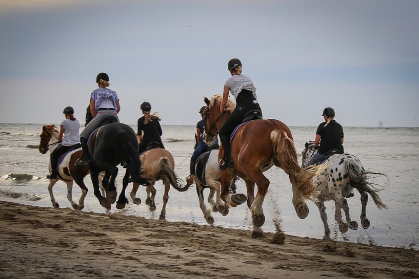 Branding paarden von Marjet van Veelen