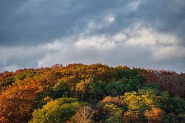 Herbstfarben auf dem Balenberg