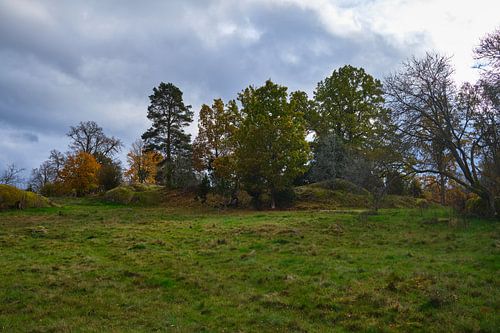 Herbst in Schweden 3 von Geertjan Plooijer