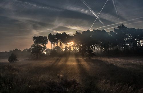 Nazomerse zonsopkomst