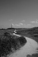 Bornrif lighthouse on Ameland