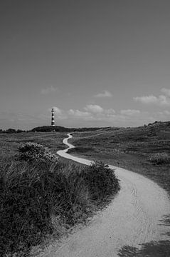 Leuchtturm Bornrif auf Ameland von Peter Bartelings