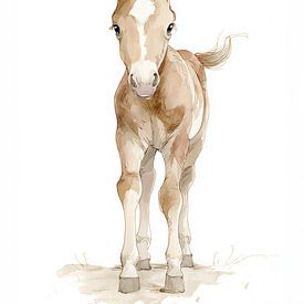 Cute foal | For the nursery by Lauren Wilde