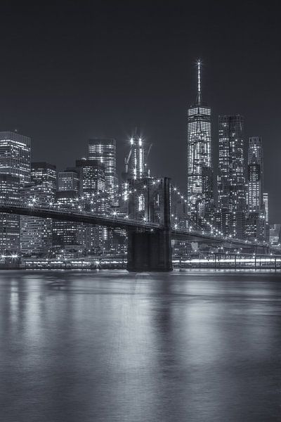 Ligne d'horizon de New York - Pont de Brooklyn 2016 (13) par Tux Photography