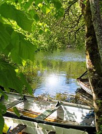 Irish Boats 