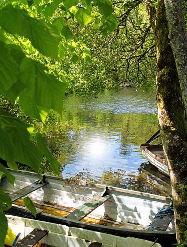 Irish Boats  sur Andrea Fettweis