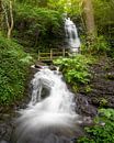 Dortebachtal, Eifel, Rheinland-Pfalz, Deutschland von Alexander Ludwig Miniaturansicht