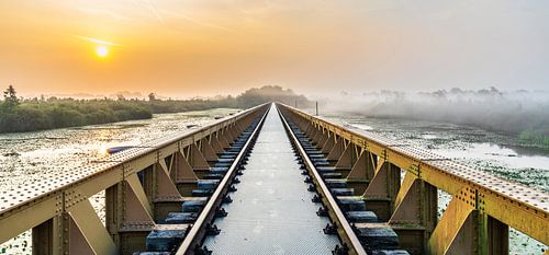 Die Moerputten bei Sonnenaufgang, 's-Hertogenbosch
