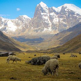Cordillera Huayhuash by PeterDoede